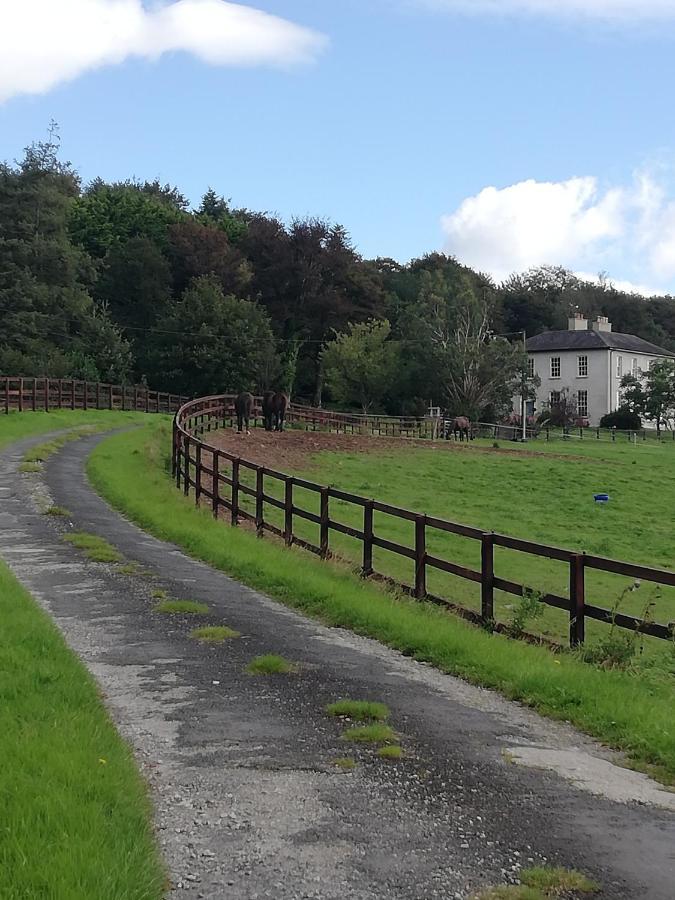 Next Door At Broomfield House Midleton Exterior foto